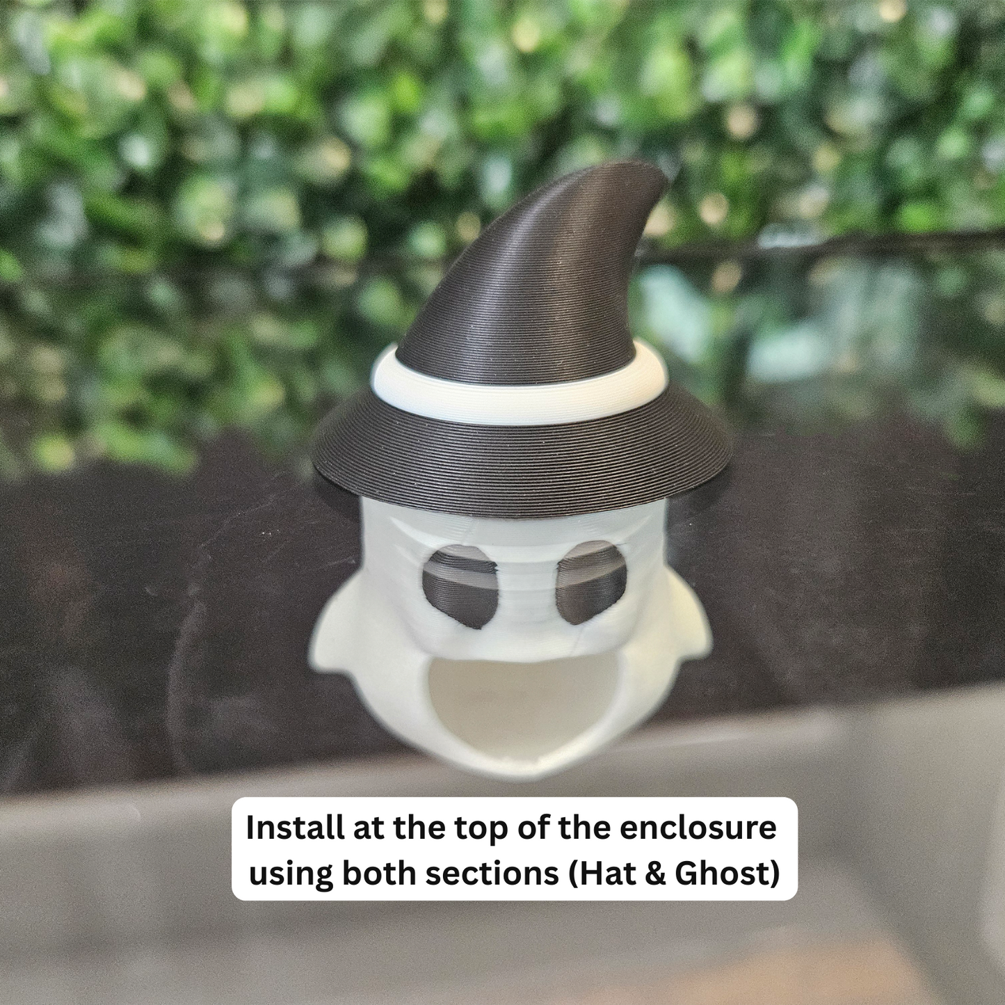 Cute Witch Ghost Jumping Spider Hide