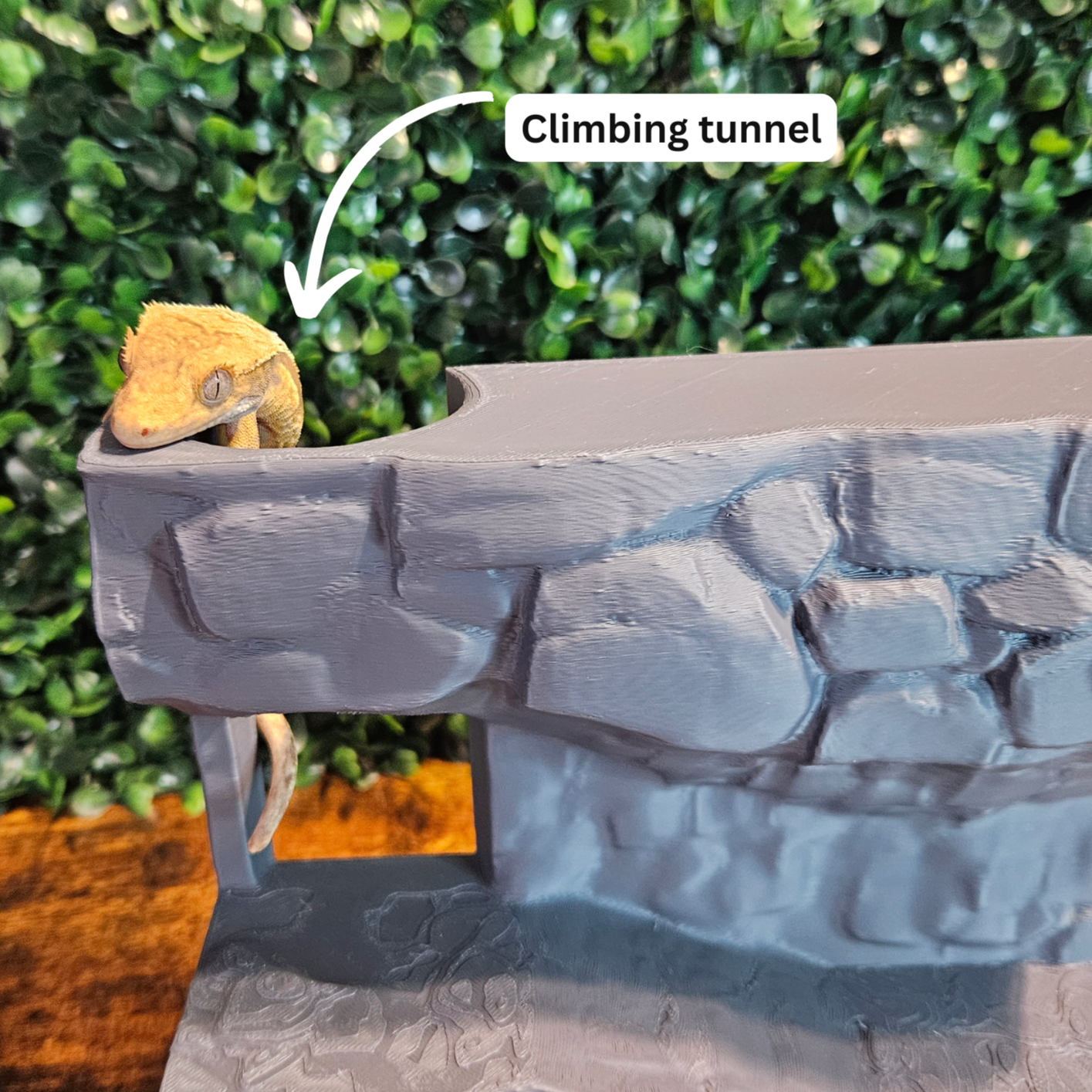 Stone Terrarium Background with Ledges