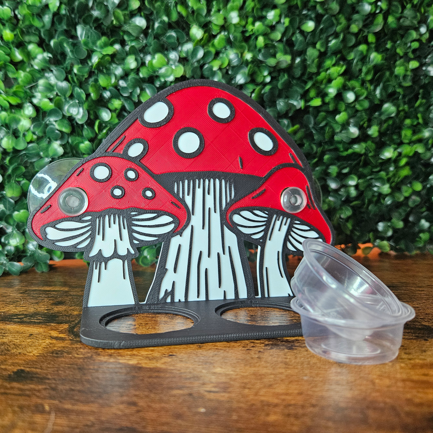 Mushroom Feeding Ledge