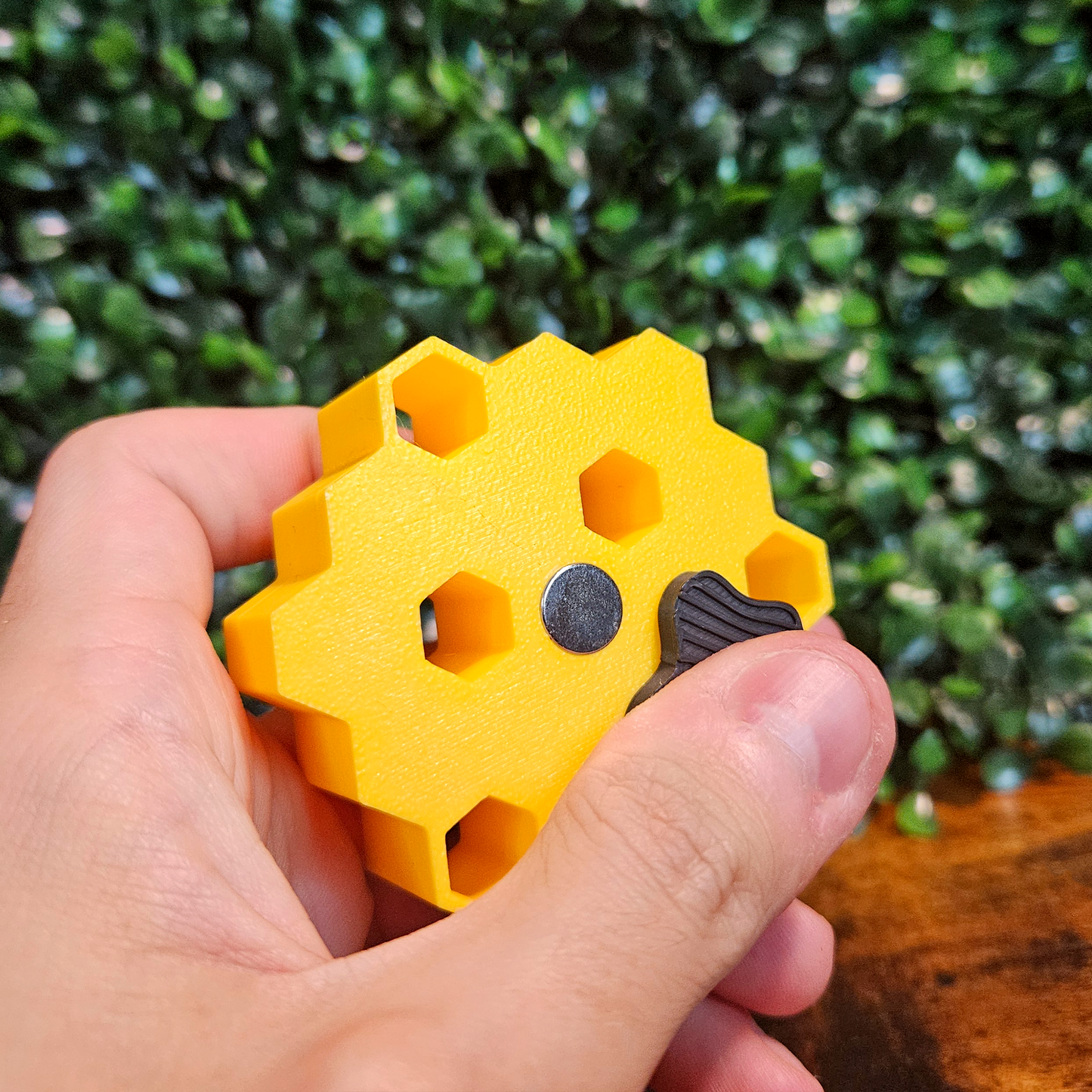 Cachette rayon de miel pour araignée sauteuse