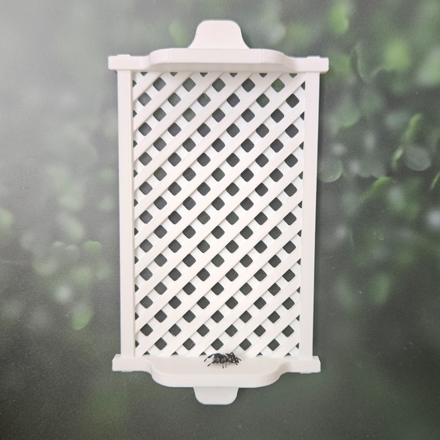 Windmill Breeze Jumping Spider Kit