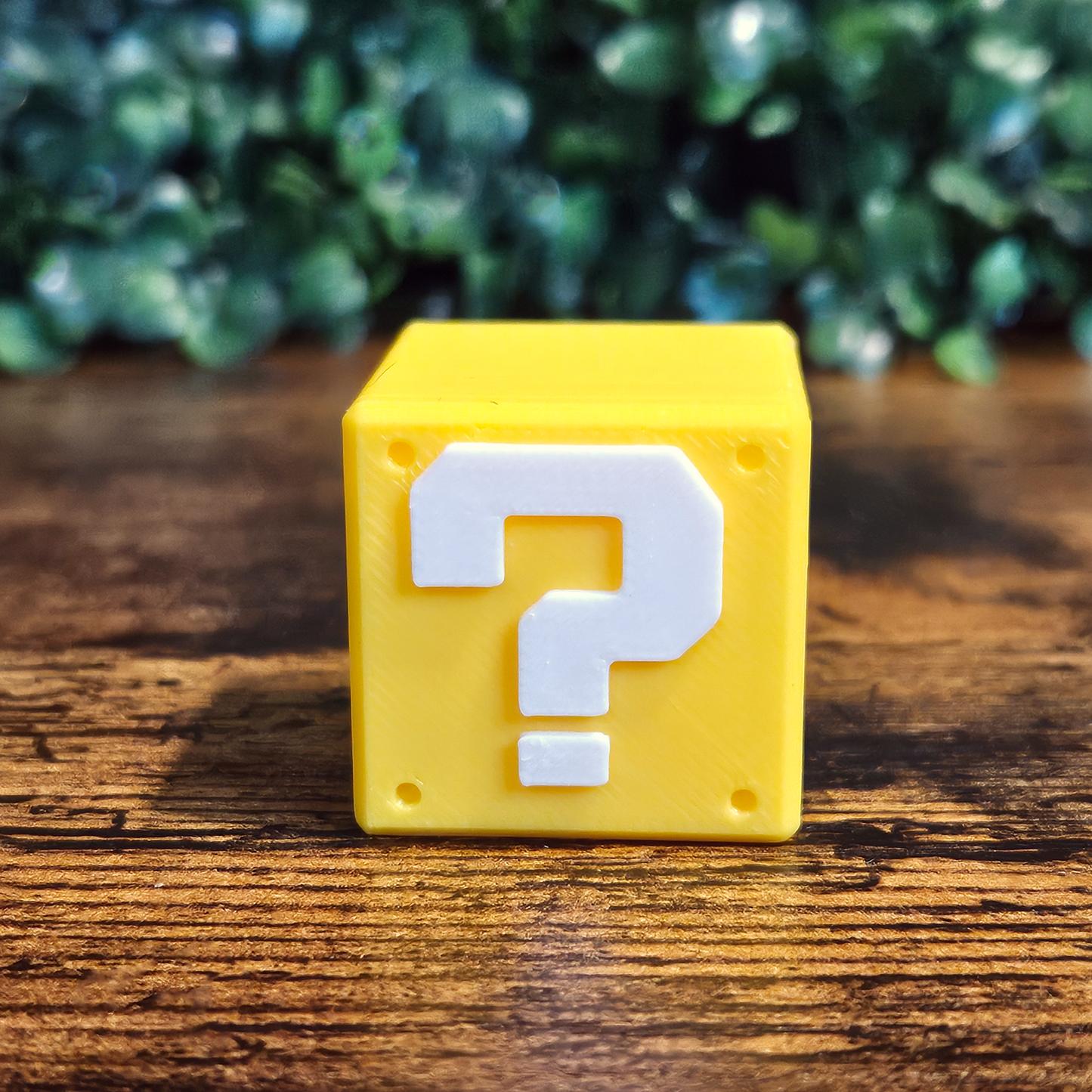 Mario Cube Jumping Spider Hide