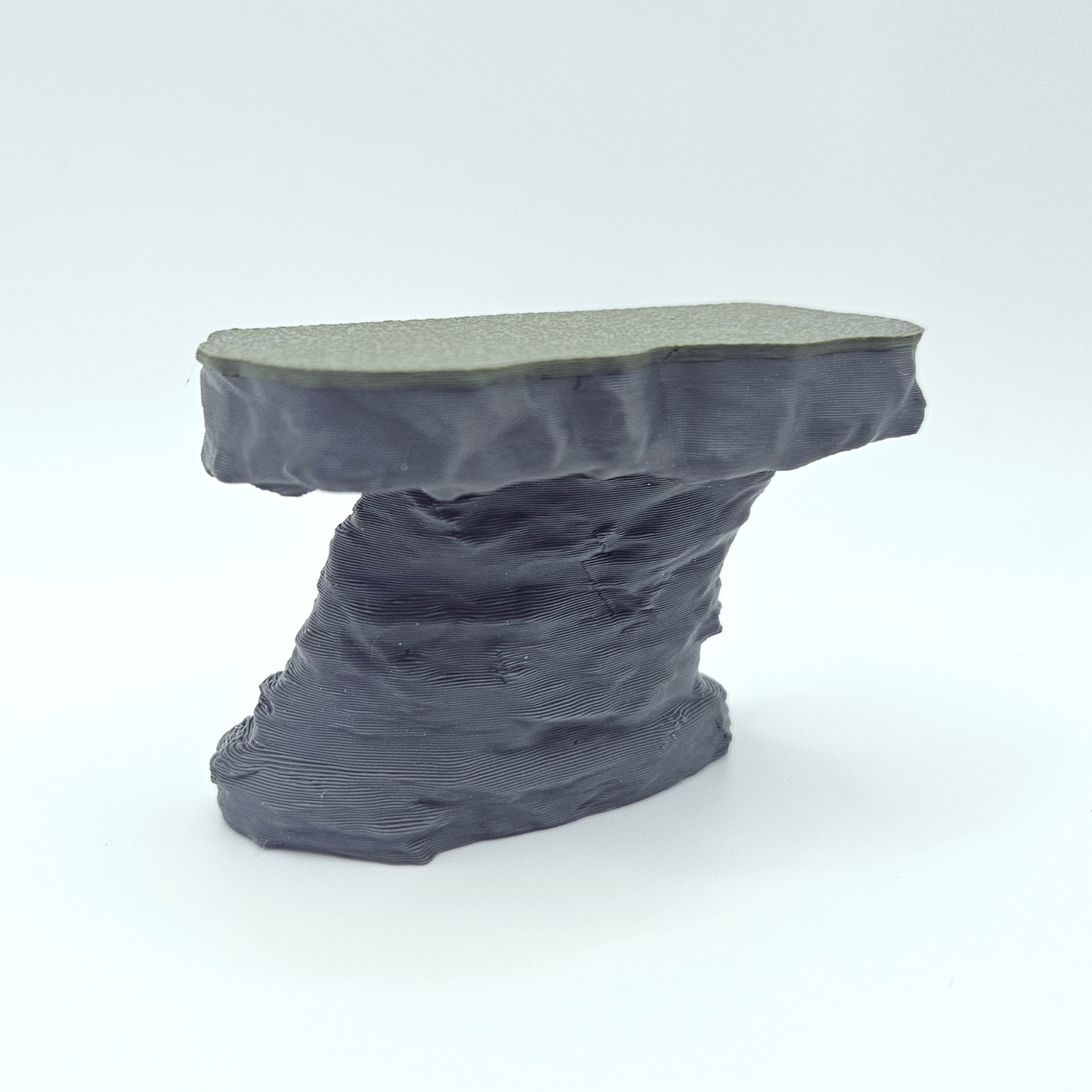 Rock Formation Jumping Spider Ledge