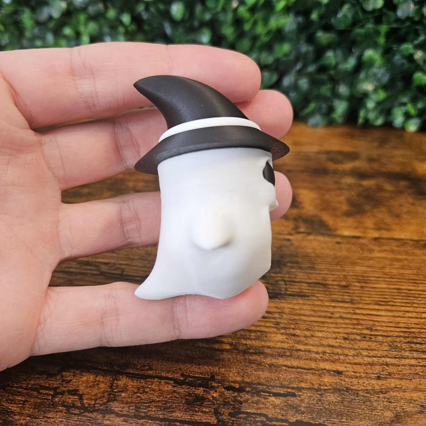 Cute Witch Ghost Jumping Spider Hide