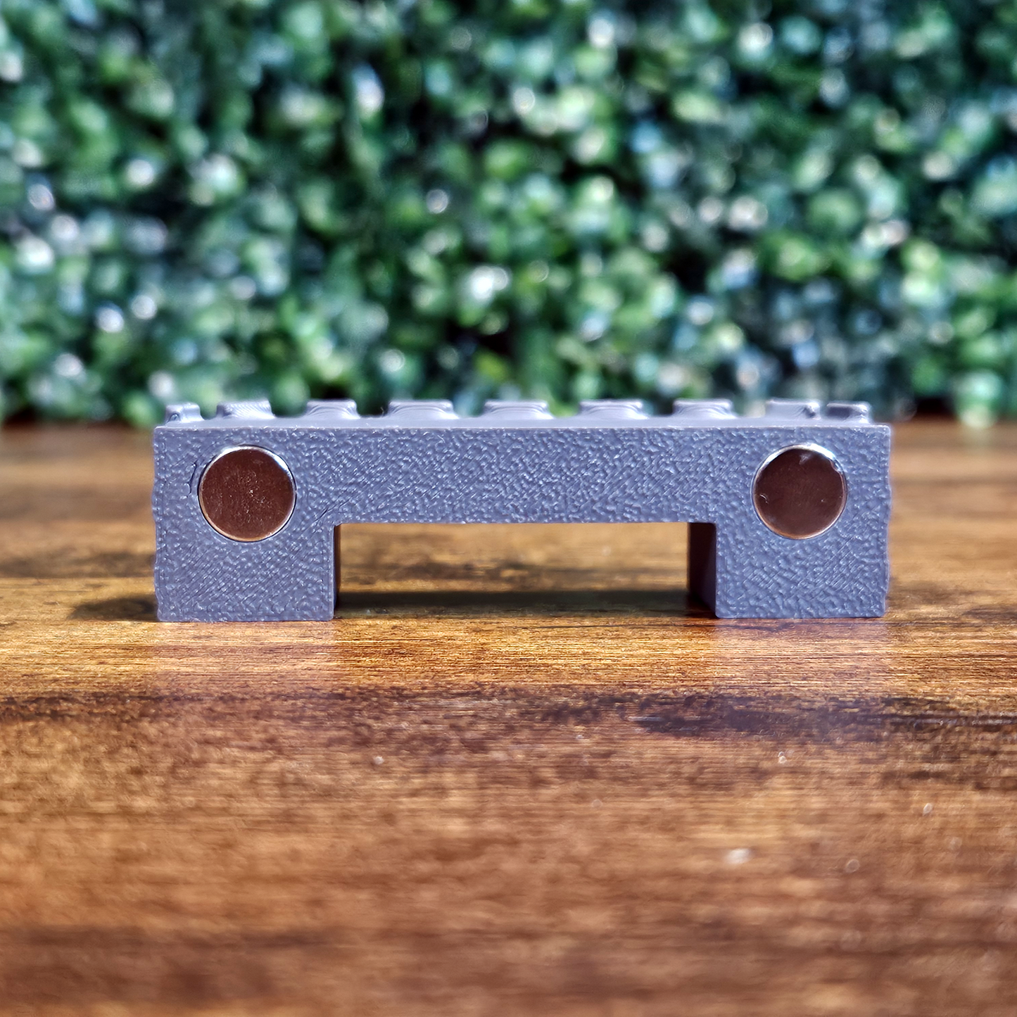 Medieval Bridge Jumping Spider Decor