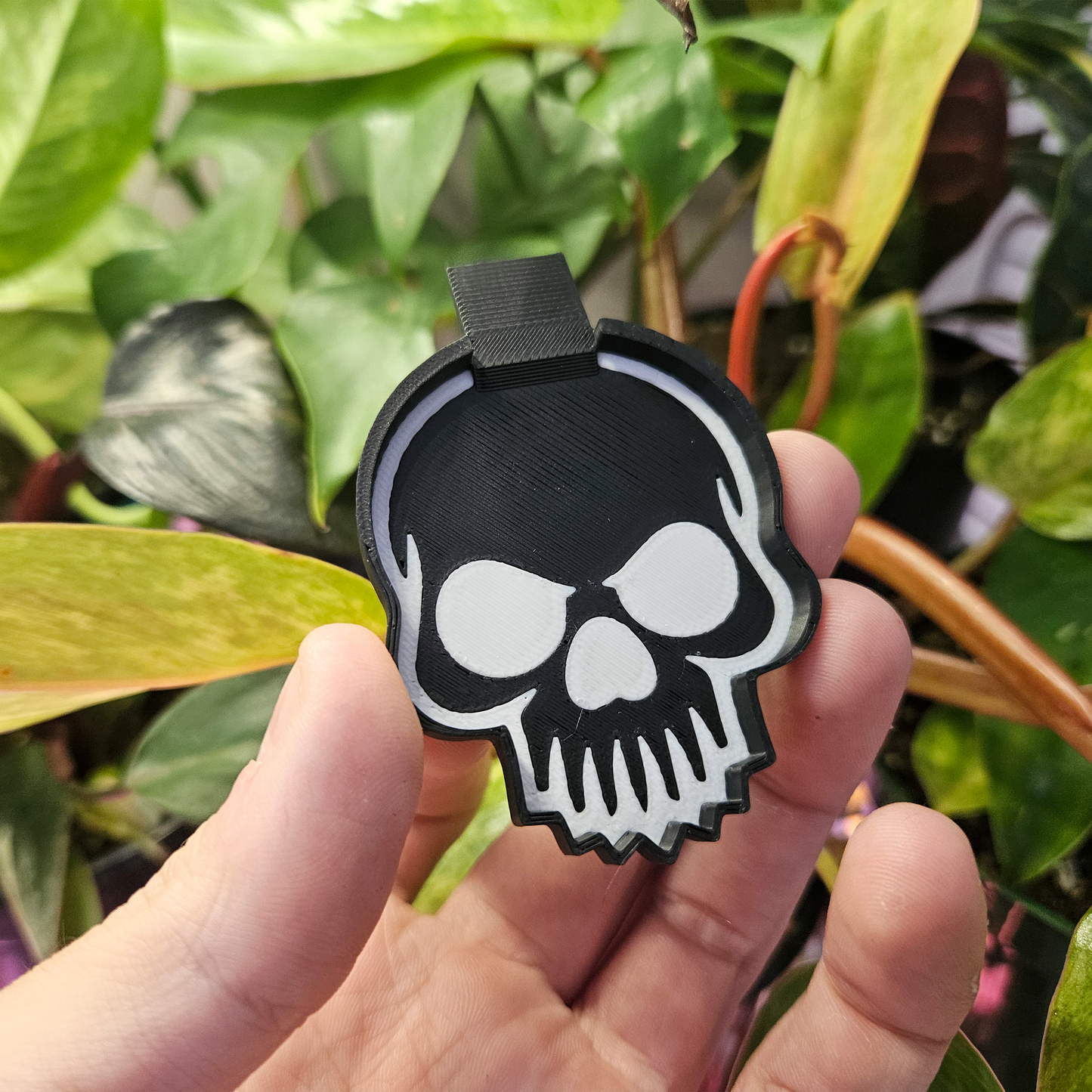 Plat d'alimentation Crane pour isopodes