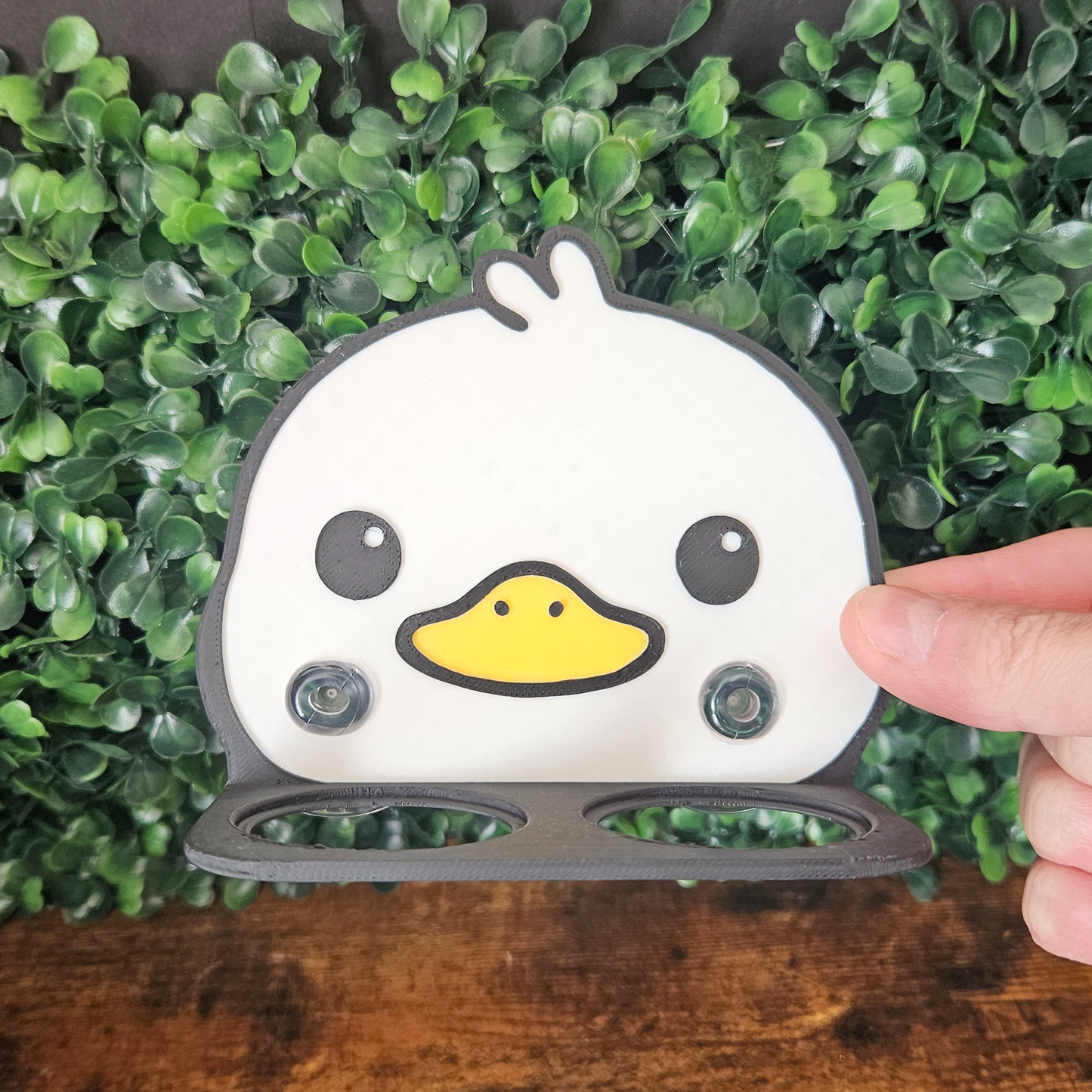 Cute Duck Feeding Ledge
