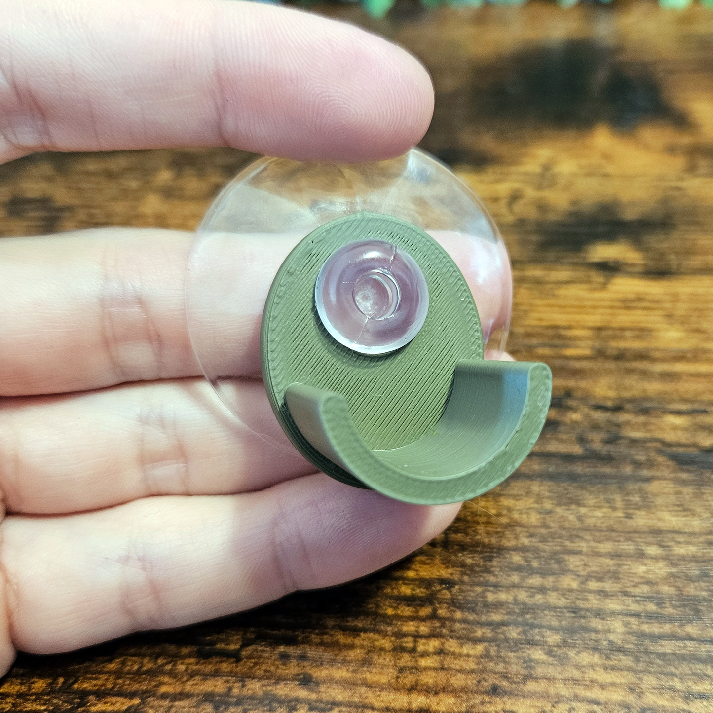 Branch Support for Terrarium (Pack of 2)