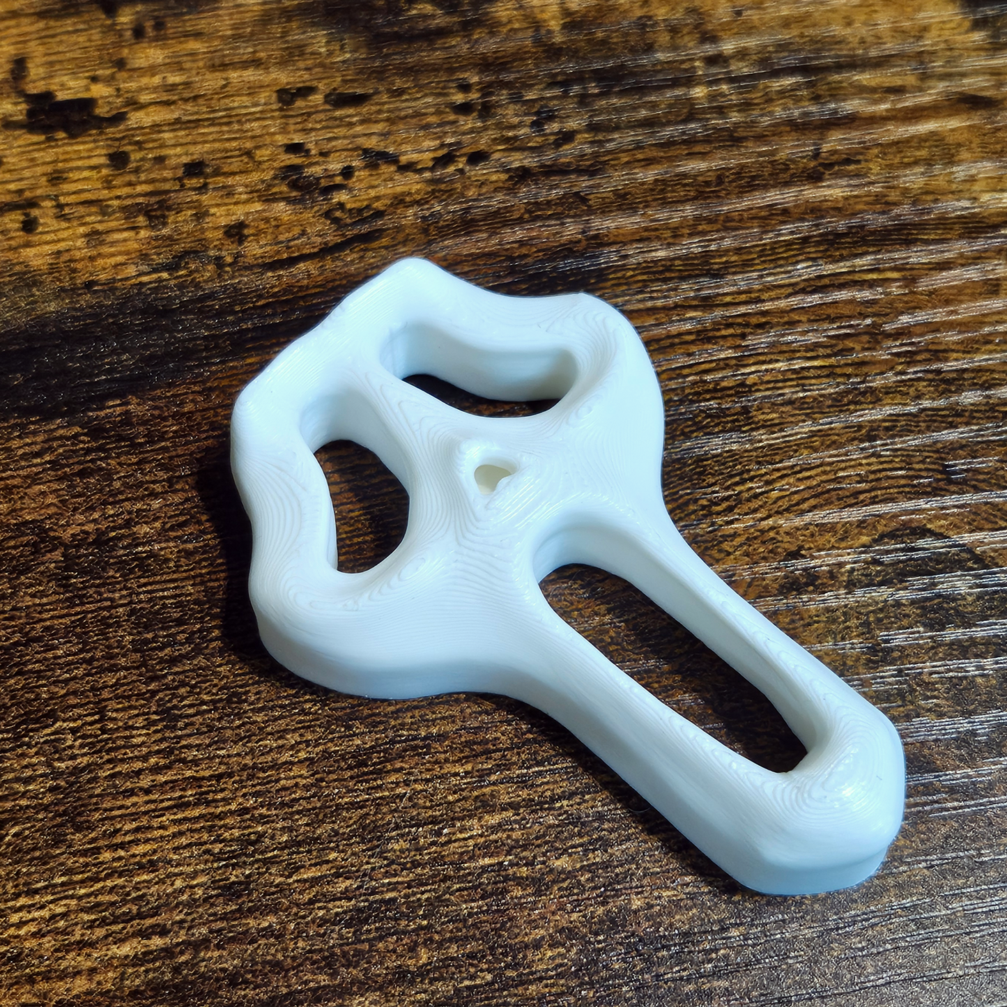 Spooky Horror Face Jumping Spider Hide