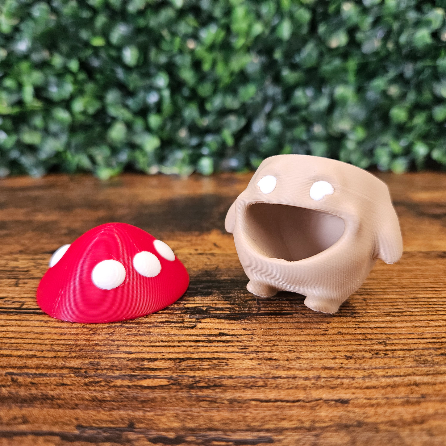 Funny Mushroom Guy Jumping Spider Hide