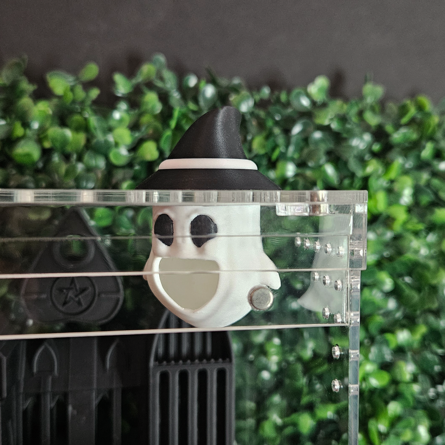 Gothic Castle Jumping Spider Kit