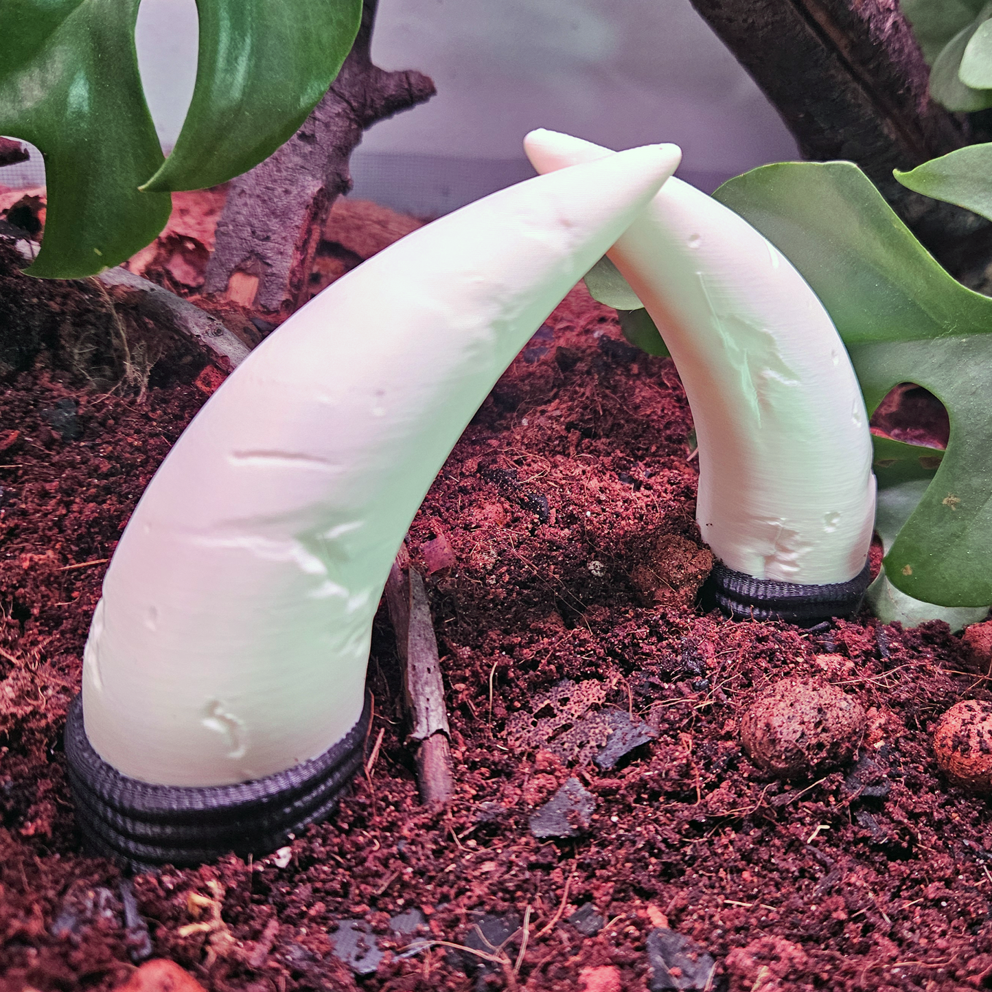 Dino Bone Gate Terrarium Decor