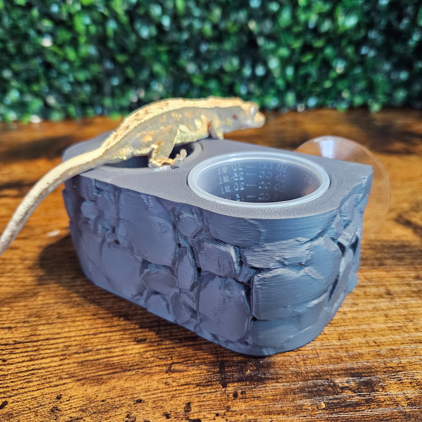 Medieval Stone Feeding Ledge