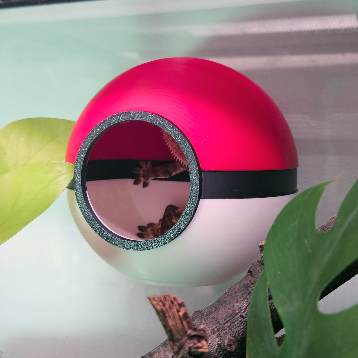 Pokeball Reptile Hide