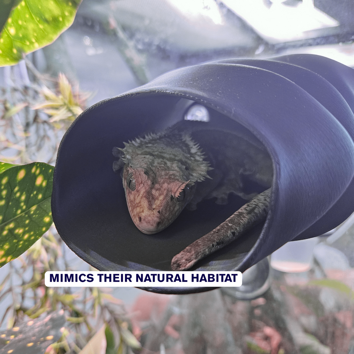 Long Wavy Reptile Hide
