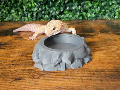 Rocky Insect Feeding Bowl