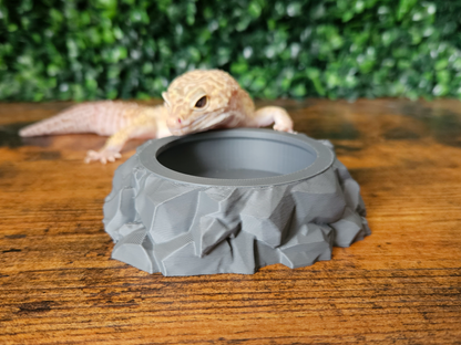 Rocky Insect Feeding Bowl