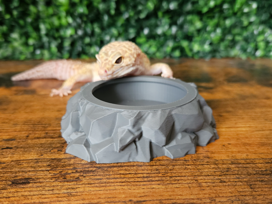 Rocky Insect Feeding Bowl