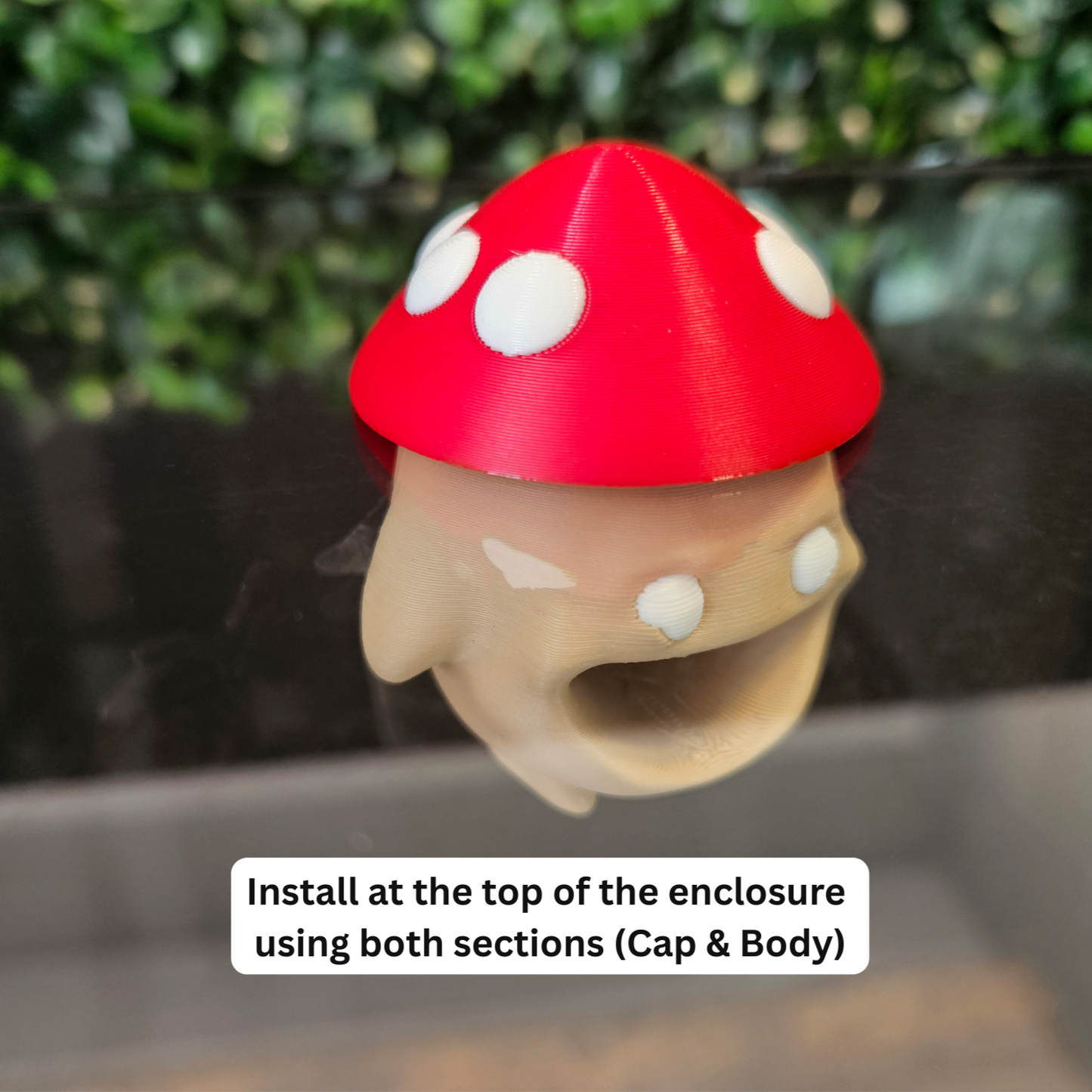 Funny Mushroom Guy Jumping Spider Hide