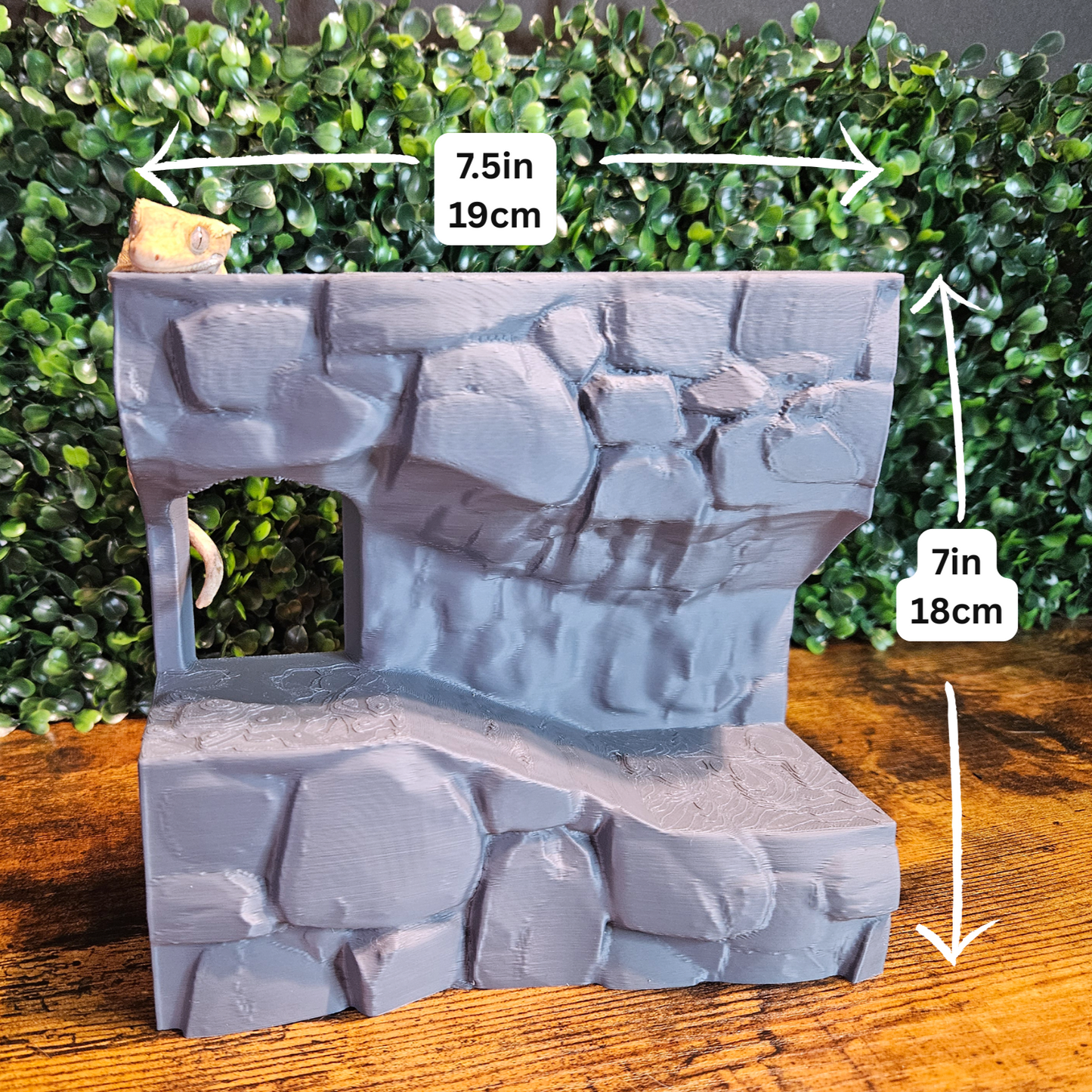 Stone Terrarium Background with Ledges