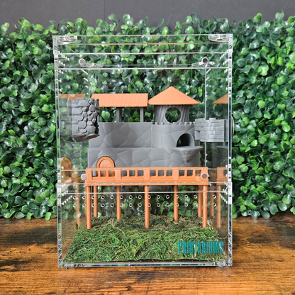 Stone-Heart Hamlet Jumping Spider Kit