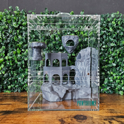 Ancient Rocky Ruins Jumping Spider Kit