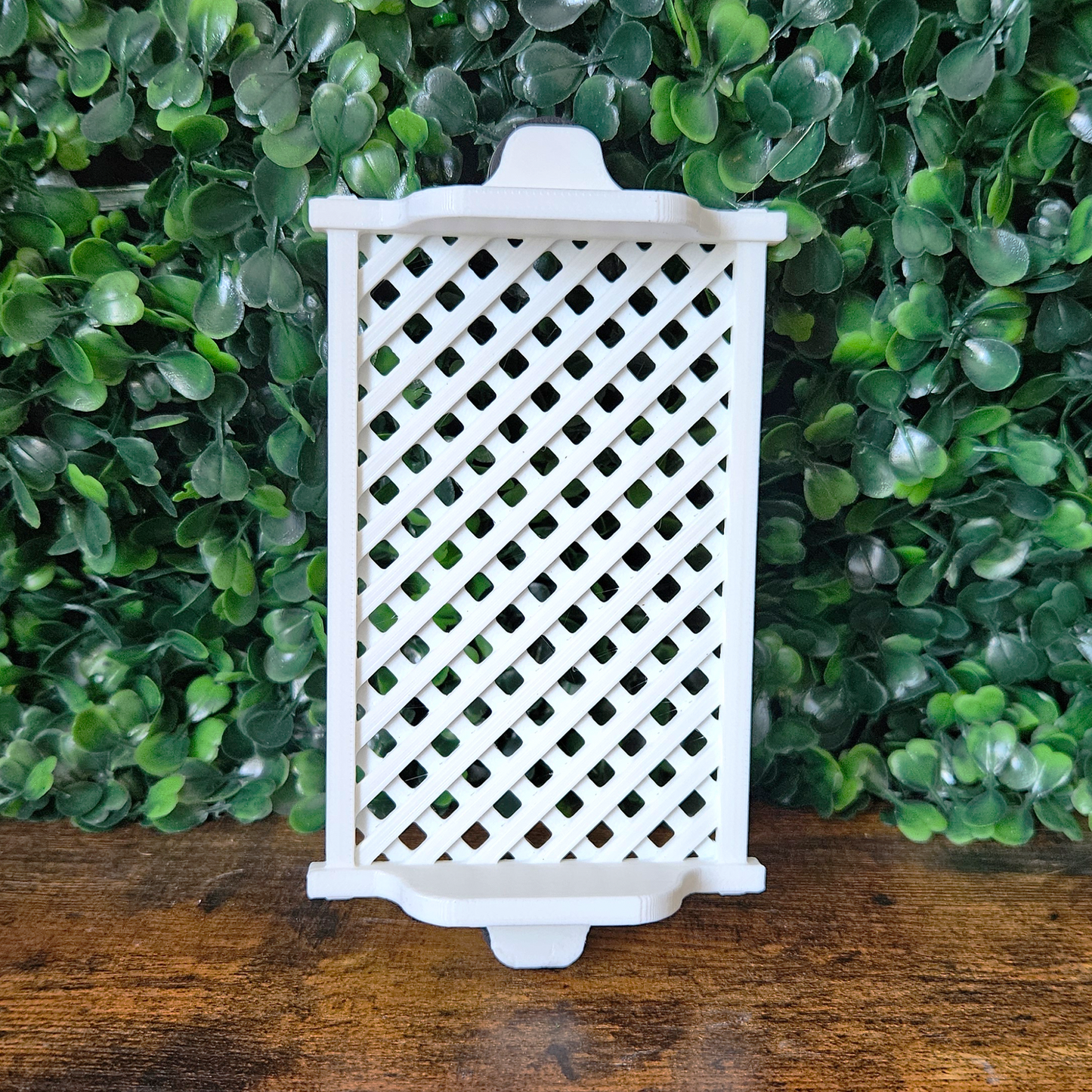 Garden Trellis Jumping Spider Ledge