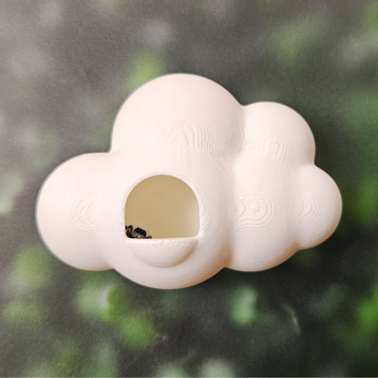 Windmill Breeze Jumping Spider Kit