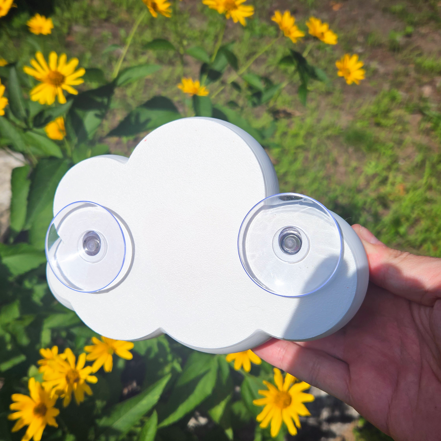 Floating Cloud Reptile Hide
