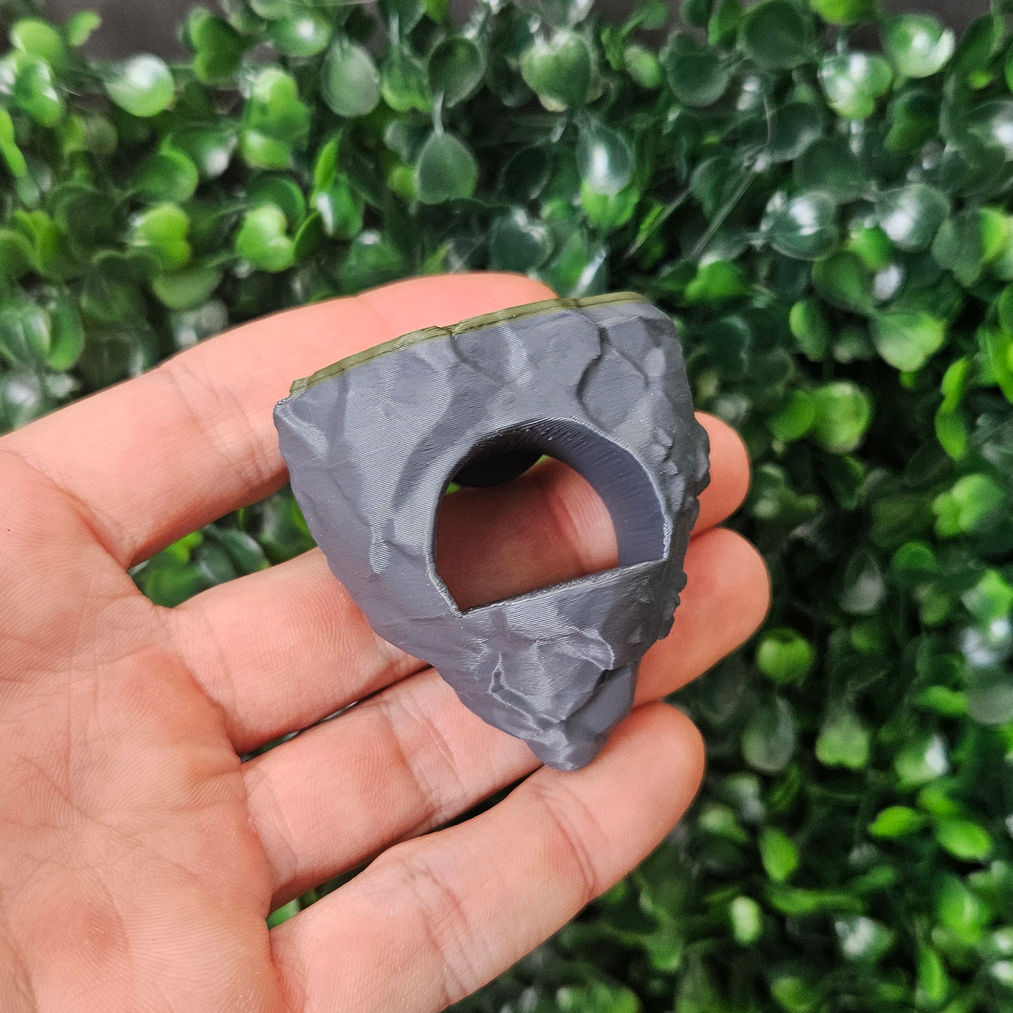 Ancient Rocky Ruins Jumping Spider Kit