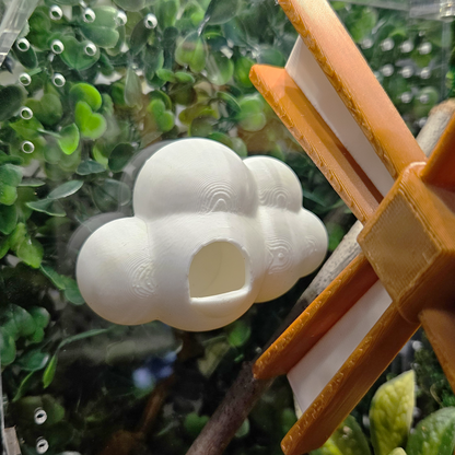 Floating Cloud Jumping Spider Hide
