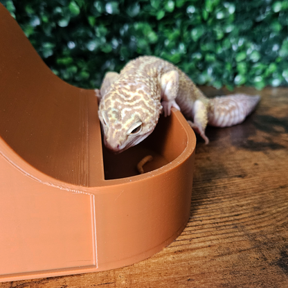 Wave Combo Reptile Humid Hide
