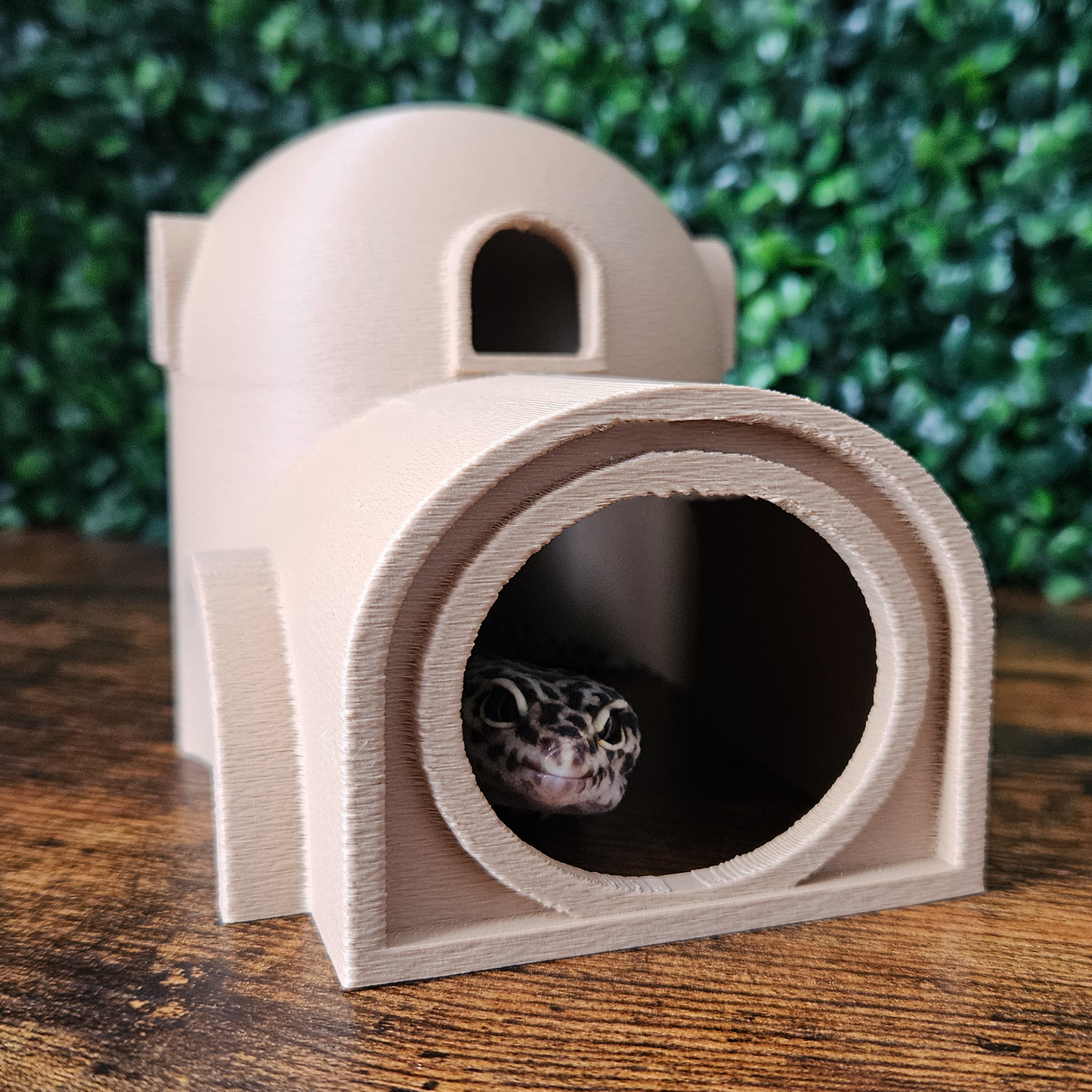 Terracotta Desert Reptile Hide