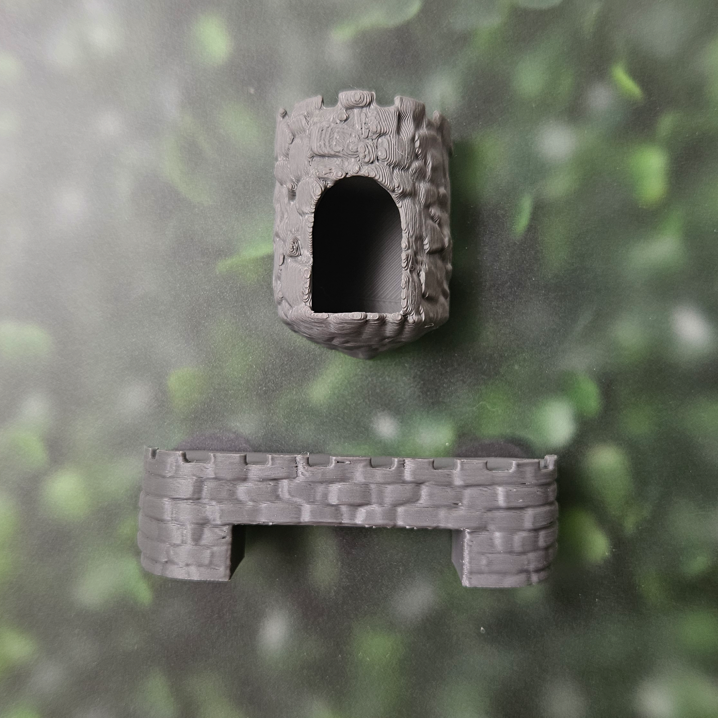 Stone-Heart Hamlet Jumping Spider Kit