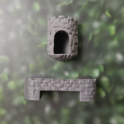 Stone-Heart Hamlet Jumping Spider Kit