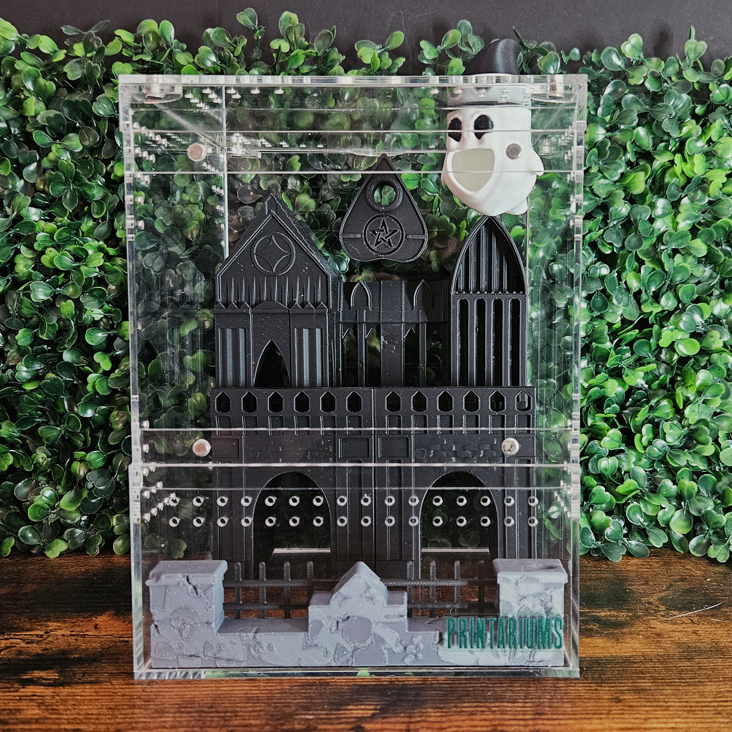 Gothic Castle Jumping Spider Kit