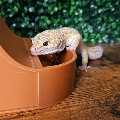 Wave Combo Reptile Humid Hide
