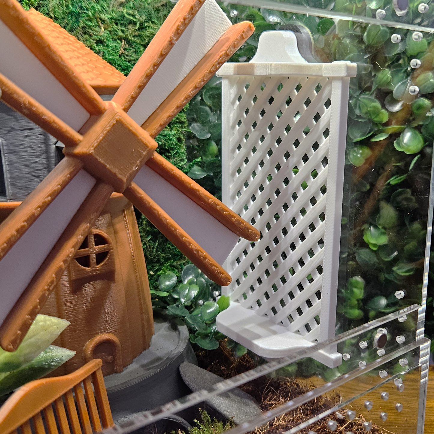 Garden Trellis Jumping Spider Ledge