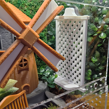 Garden Trellis Jumping Spider Ledge