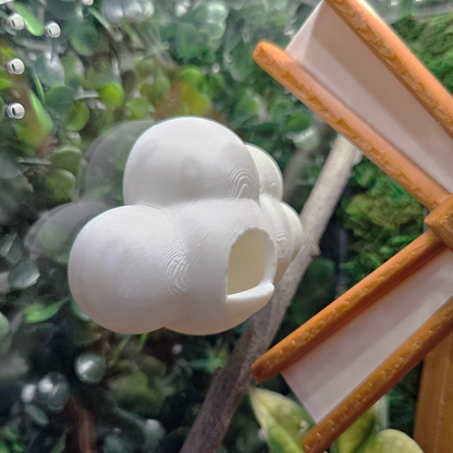 Floating Cloud Jumping Spider Hide