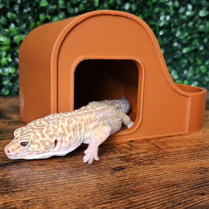 Wave Combo Reptile Humid Hide