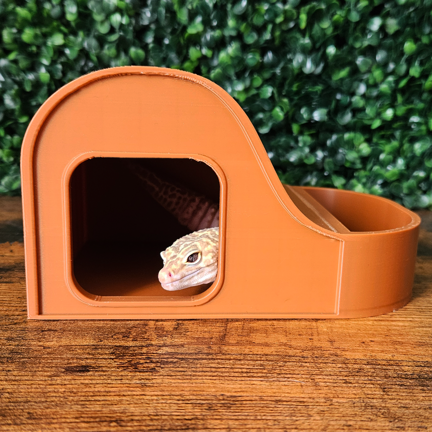 Wave Combo Reptile Humid Hide