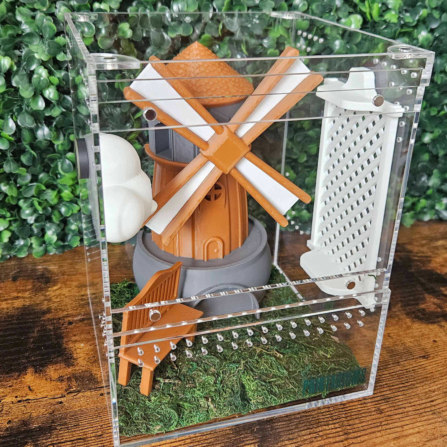 Windmill Breeze Jumping Spider Kit