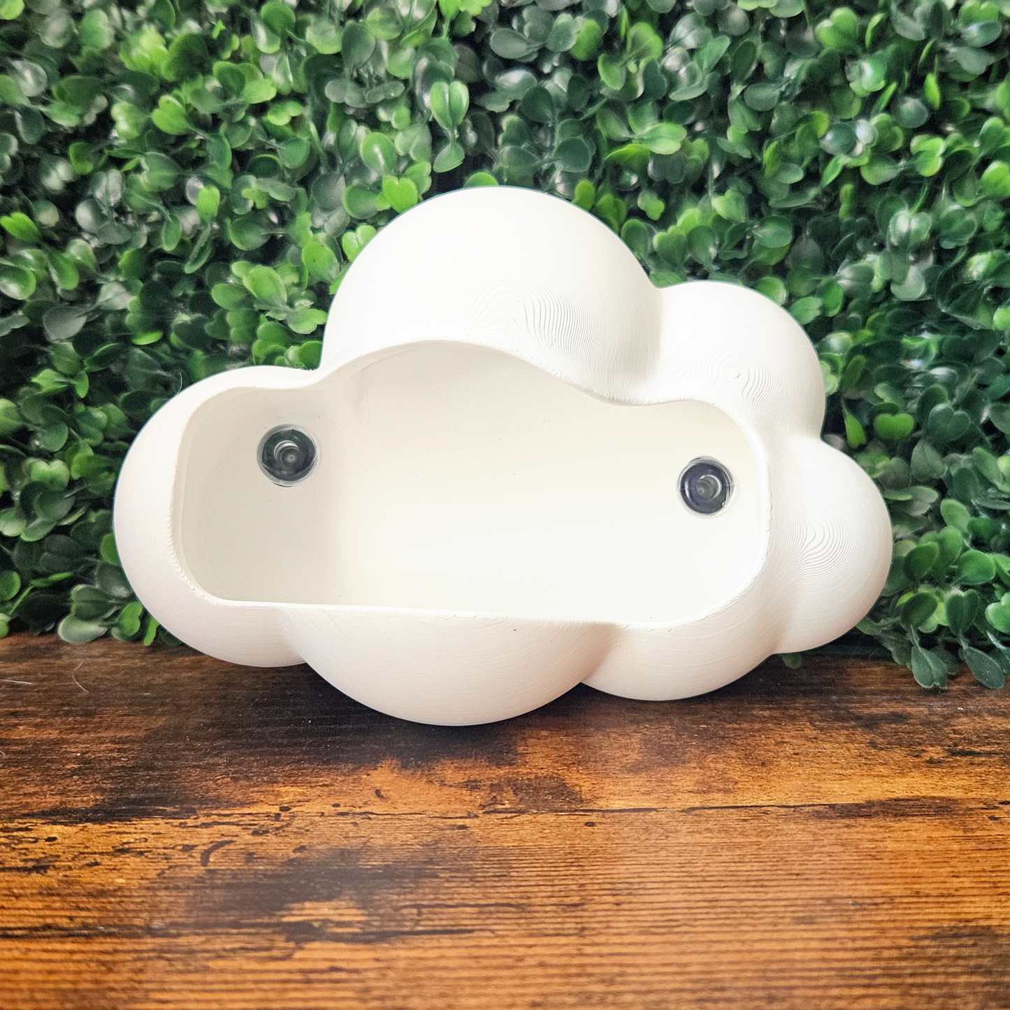 Floating Cloud Reptile Hide