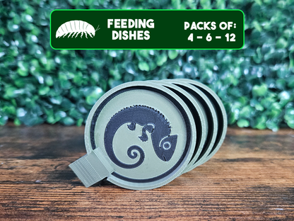 Plat d'alimentation caméléons pour isopodes