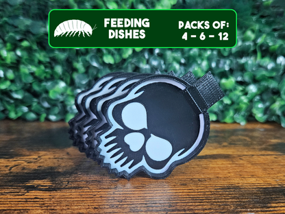 Plat d'alimentation Crane pour isopodes