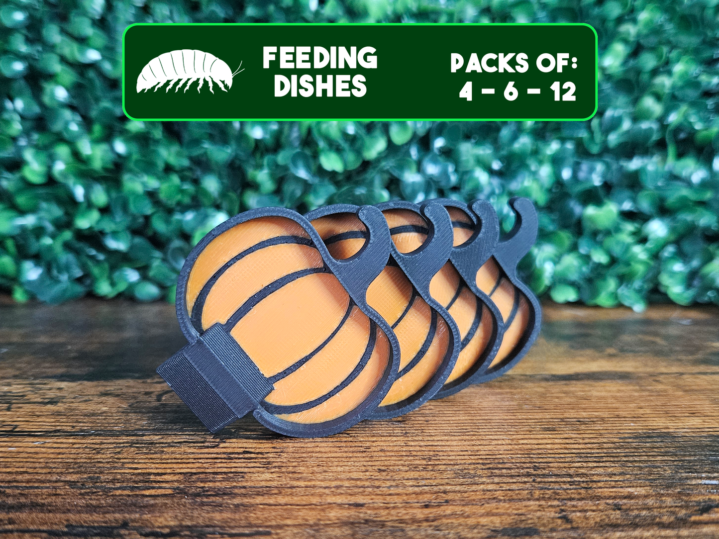 Pumpkin Isopods Feeding Dish Pack