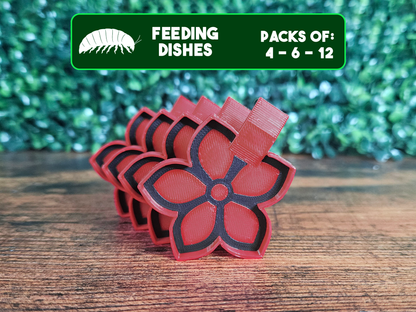 Plat d'alimentation Fleur pour isopodes