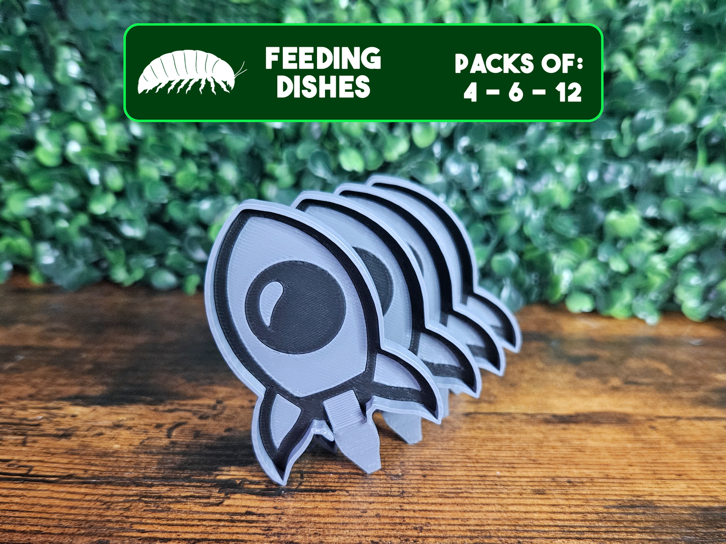 Plat d'alimentation Fusée pour isopodes