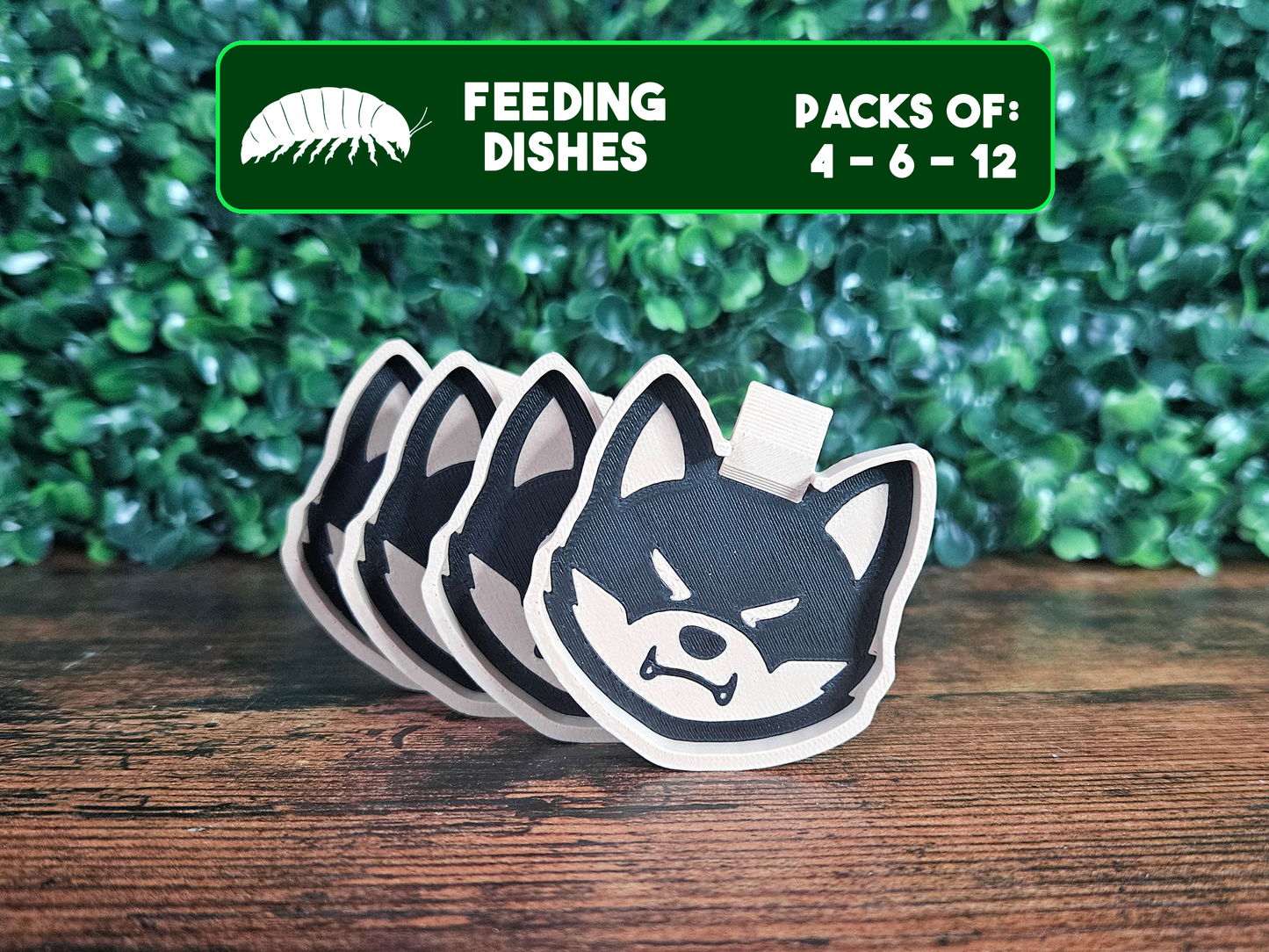 Plat d'alimentation Shiba Inu pour isopodes